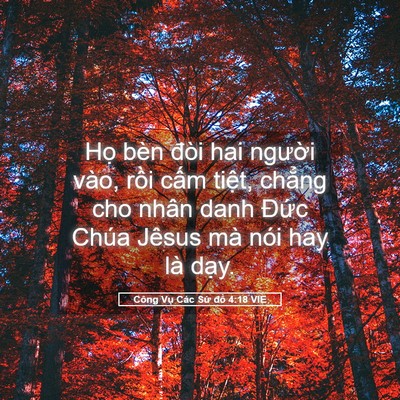 Picture 05 - Công Vụ Các Sứ đồ 4:18 VIE - Họ bèn đòi hai người vào, rồi cấm - Bible Verse Picture