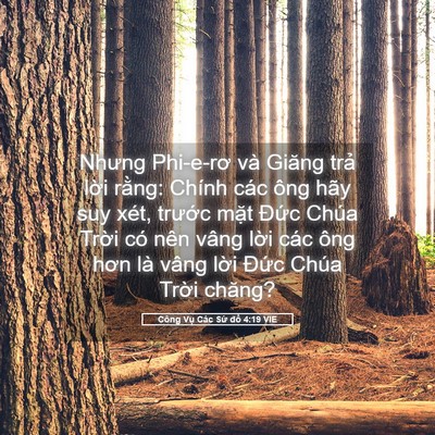 Picture 05 - Công Vụ Các Sứ đồ 4:19 VIE - Nhưng Phi-e-rơ và Giăng trả lời rằng: - Bible Verse Picture