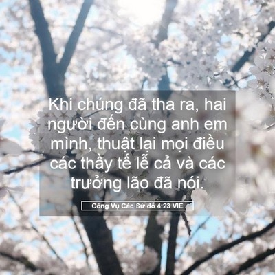 Picture 05 - Công Vụ Các Sứ đồ 4:23 VIE - Khi chúng đã tha ra, hai người đến cùng - Bible Verse Picture