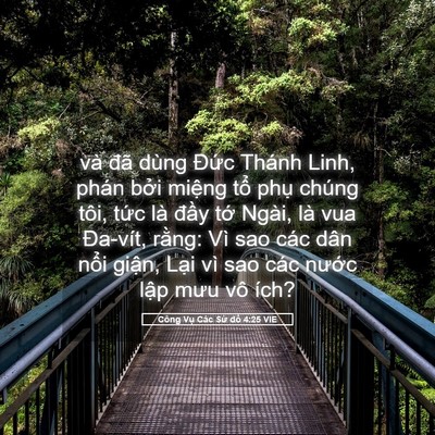 Picture 05 - Công Vụ Các Sứ đồ 4:25 VIE - và đã dùng Đức Thánh Linh, phán bởi - Bible Verse Picture