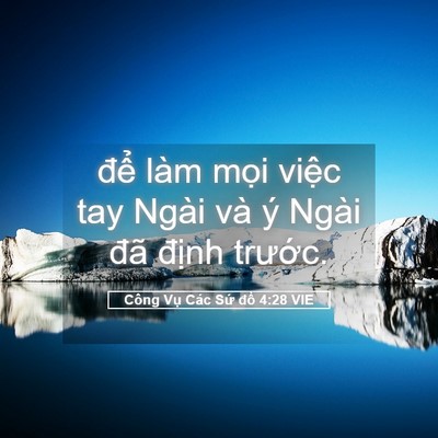 Picture 05 - Công Vụ Các Sứ đồ 4:28 VIE - để làm mọi việc tay Ngài và ý Ngài - Bible Verse Picture
