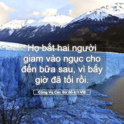 Picture 05 - Công Vụ Các Sứ đồ 4:3 VIE - Họ bắt hai người giam vào ngục cho - Bible Verse Picture