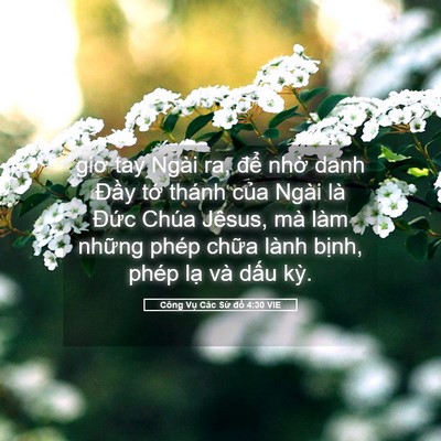 Picture 05 - Công Vụ Các Sứ đồ 4:30 VIE - giơ tay Ngài ra, để nhờ danh Đầy tớ - Bible Verse Picture