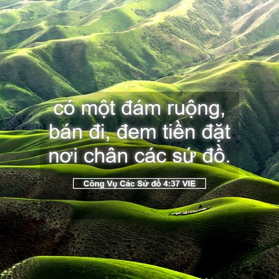 Picture 05 - Công Vụ Các Sứ đồ 4:37 VIE - có một đám ruộng, bán đi, đem tiền - Bible Verse Picture