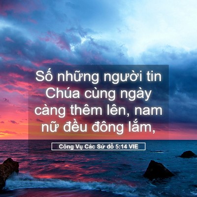 Picture 05 - Công Vụ Các Sứ đồ 5:14 VIE - Số những người tin Chúa cùng ngày càng - Bible Verse Picture