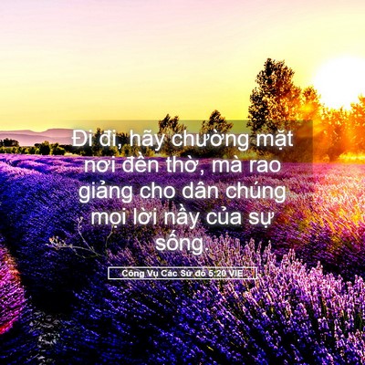 Picture 05 - Công Vụ Các Sứ đồ 5:20 VIE - Đi đi, hãy chường mặt nơi đền thờ, - Bible Verse Picture