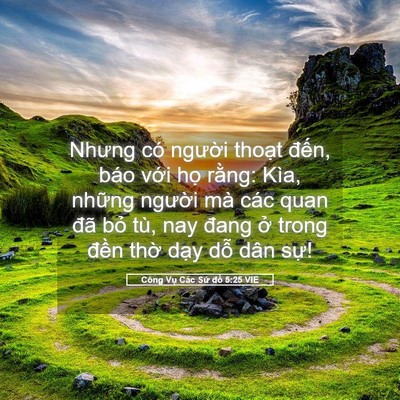 Picture 05 - Công Vụ Các Sứ đồ 5:25 VIE - Nhưng có người thoạt đến, báo với - Bible Verse Picture