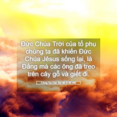 Picture 05 - Công Vụ Các Sứ đồ 5:30 VIE - Đức Chúa Trời của tổ phụ chúng ta - Bible Verse Picture