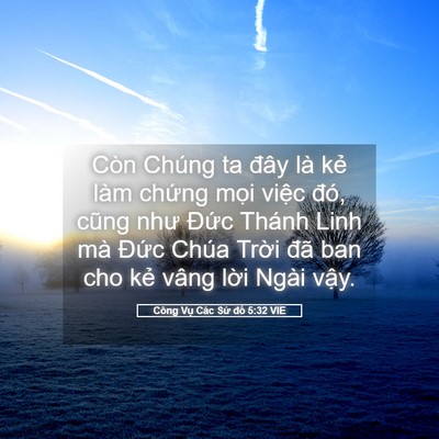 Picture 05 - Công Vụ Các Sứ đồ 5:32 VIE - Còn Chúng ta đây là kẻ làm chứng mọi - Bible Verse Picture