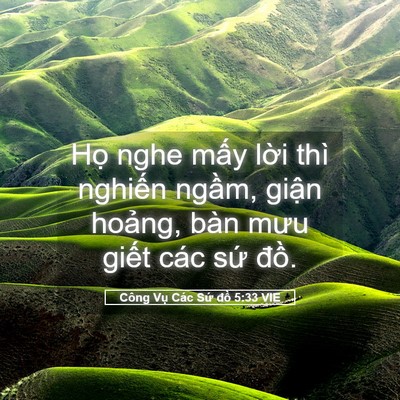 Picture 05 - Công Vụ Các Sứ đồ 5:33 VIE - Họ nghe mấy lời thì nghiến ngầm, - Bible Verse Picture