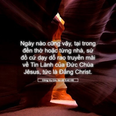 Picture 05 - Công Vụ Các Sứ đồ 5:42 VIE - Ngày nào cũng vậy, tại trong đền thờ - Bible Verse Picture