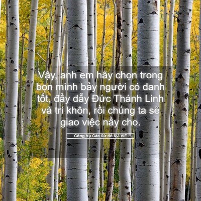 Picture 05 - Công Vụ Các Sứ đồ 6:3 VIE - Vậy, anh em hãy chọn trong bọn mình bảy - Bible Verse Picture