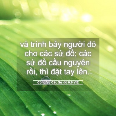 Picture 05 - Công Vụ Các Sứ đồ 6:6 VIE - và trình bảy người đó cho các sứ - Bible Verse Picture