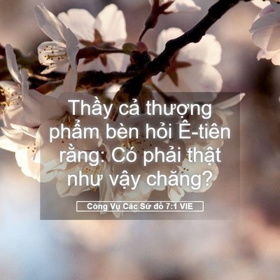 Picture 05 - Công Vụ Các Sứ đồ 7:1 VIE - Thầy cả thượng phẩm bèn hỏi Ê-tiên - Bible Verse Picture
