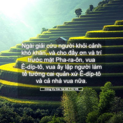 Picture 05 - Công Vụ Các Sứ đồ 7:10 VIE - Ngài giải cứu người khỏi cảnh khó - Bible Verse Picture