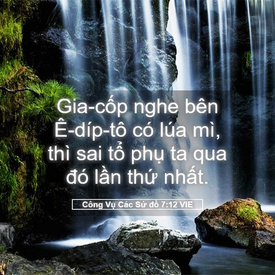 Picture 05 - Công Vụ Các Sứ đồ 7:12 VIE - Gia-cốp nghe bên Ê-díp-tô có lúa mì, - Bible Verse Picture