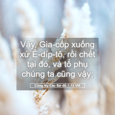 Picture 05 - Công Vụ Các Sứ đồ 7:15 VIE - Vậy, Gia-cốp xuống xứ Ê-díp-tô, rồi - Bible Verse Picture