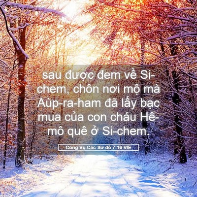 Picture 05 - Công Vụ Các Sứ đồ 7:16 VIE - sau được đem về Si-chem, chôn nơi mộ - Bible Verse Picture