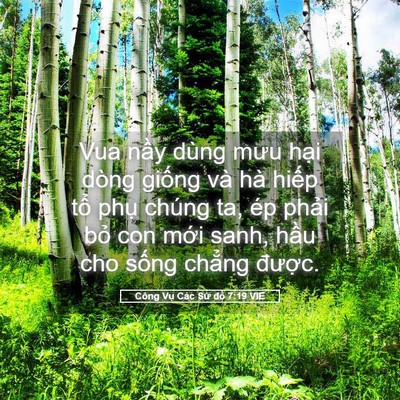 Picture 05 - Công Vụ Các Sứ đồ 7:19 VIE - Vua nầy dùng mưu hại dòng giống và hà - Bible Verse Picture