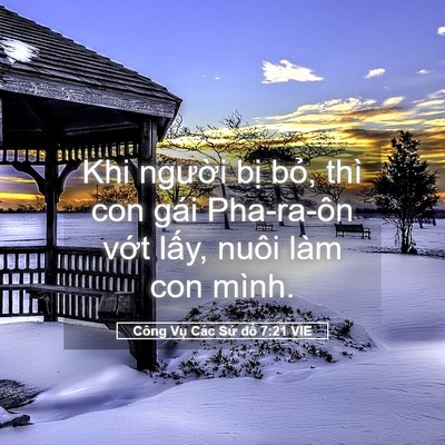 Picture 05 - Công Vụ Các Sứ đồ 7:21 VIE - Khi người bị bỏ, thì con gái Pha-ra-ôn - Bible Verse Picture