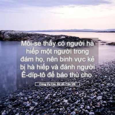 Picture 05 - Công Vụ Các Sứ đồ 7:24 VIE - Môi-se thấy có người hà hiếp một - Bible Verse Picture