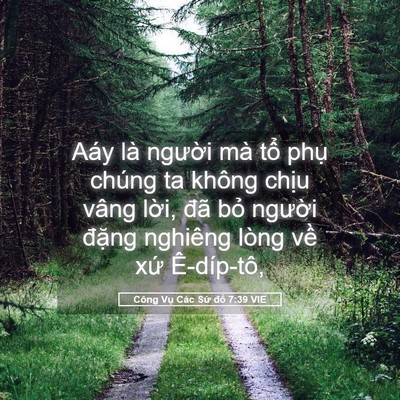Picture 05 - Công Vụ Các Sứ đồ 7:39 VIE - Aáy là người mà tổ phụ chúng ta không - Bible Verse Picture