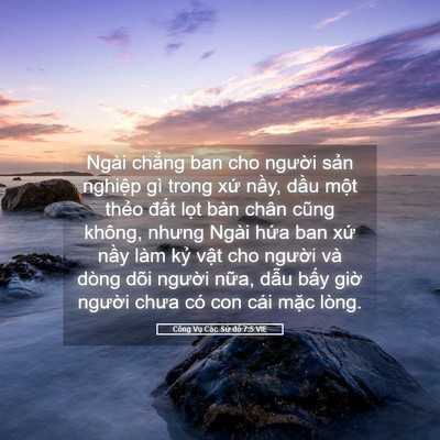 Picture 05 - Công Vụ Các Sứ đồ 7:5 VIE - Ngài chẳng ban cho người sản nghiệp gì - Bible Verse Picture