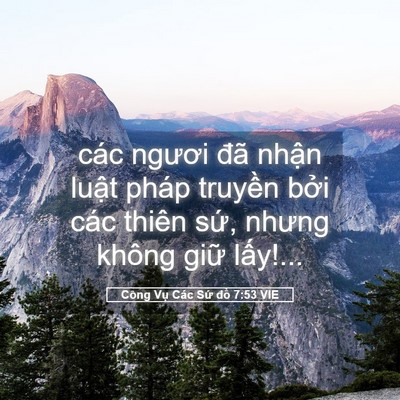 Picture 05 - Công Vụ Các Sứ đồ 7:53 VIE - các ngươi đã nhận luật pháp truyền - Bible Verse Picture