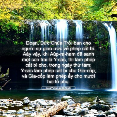 Picture 05 - Công Vụ Các Sứ đồ 7:8 VIE - Đoạn, Đức Chúa Trời ban cho người - Bible Verse Picture