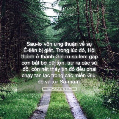 Picture 05 - Công Vụ Các Sứ đồ 8:1 VIE - Sau-lơ vốn ưng thuận về sự Ê-tiên - Bible Verse Picture