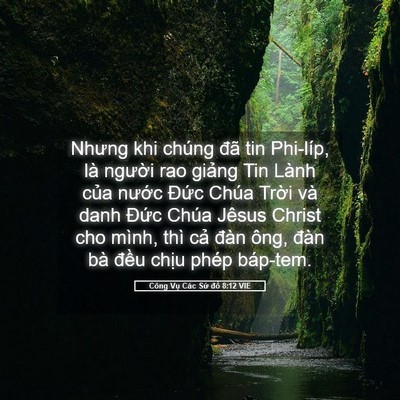 Picture 05 - Công Vụ Các Sứ đồ 8:12 VIE - Nhưng khi chúng đã tin Phi-líp, là người - Bible Verse Picture
