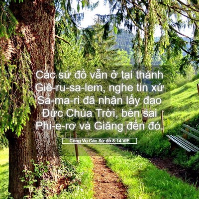 Picture 05 - Công Vụ Các Sứ đồ 8:14 VIE - Các sứ đồ vẫn ở tại thành - Bible Verse Picture