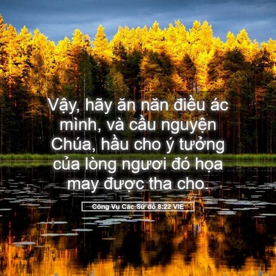 Picture 05 - Công Vụ Các Sứ đồ 8:22 VIE - Vậy, hãy ăn năn điều ác mình, và cầu - Bible Verse Picture