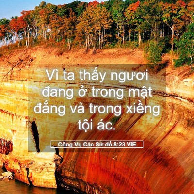 Picture 05 - Công Vụ Các Sứ đồ 8:23 VIE - Vì ta thấy ngươi đang ở trong mật - Bible Verse Picture