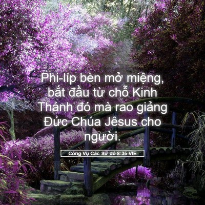 Picture 05 - Công Vụ Các Sứ đồ 8:35 VIE - Phi-líp bèn mở miệng, bắt đầu từ - Bible Verse Picture