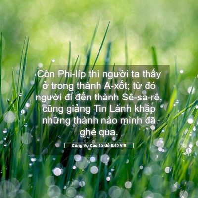 Picture 05 - Công Vụ Các Sứ đồ 8:40 VIE - Còn Phi-líp thì người ta thấy ở trong - Bible Verse Picture