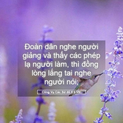 Picture 05 - Công Vụ Các Sứ đồ 8:6 VIE - Đoàn dân nghe người giảng và thấy các - Bible Verse Picture