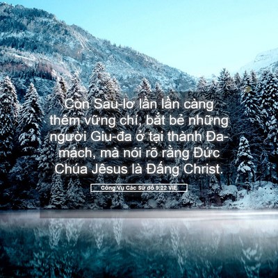 Picture 05 - Công Vụ Các Sứ đồ 9:22 VIE - Còn Sau-lơ lần lần càng thêm vững chí, - Bible Verse Picture