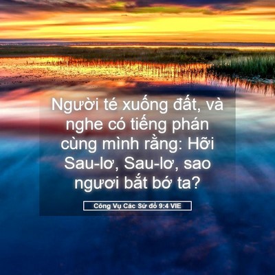 Picture 05 - Công Vụ Các Sứ đồ 9:4 VIE - Người té xuống đất, và nghe có tiếng - Bible Verse Picture