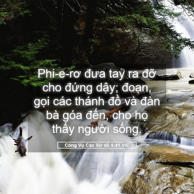 Picture 05 - Công Vụ Các Sứ đồ 9:41 VIE - Phi-e-rơ đưa tay ra đỡ cho đứng dậy; - Bible Verse Picture