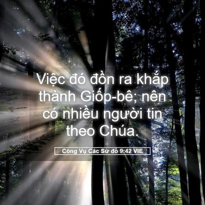 Picture 05 - Công Vụ Các Sứ đồ 9:42 VIE - Việc đó đồn ra khắp thành Giốp-bê; - Bible Verse Picture