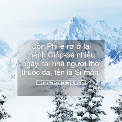 Picture 05 - Công Vụ Các Sứ đồ 9:43 VIE - Còn Phi-e-rơ ở lại thành Giốp-bê - Bible Verse Picture