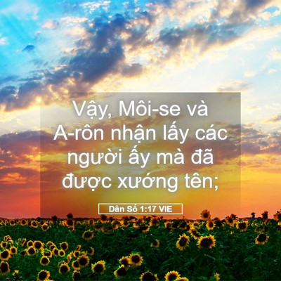 Picture 05 - Dân Số 1:17 VIE - Vậy, Môi-se và A-rôn nhận lấy các - Bible Verse Picture