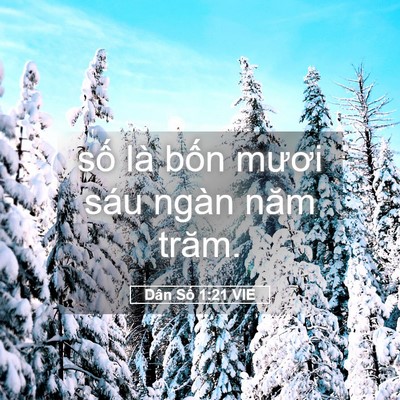Picture 05 - Dân Số 1:21 VIE - số là bốn mươi sáu ngàn năm - Bible Verse Picture