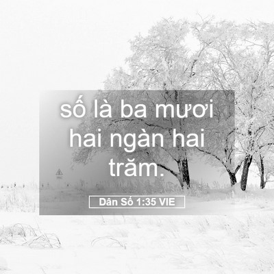 Picture 05 - Dân Số 1:35 VIE - số là ba mươi hai ngàn hai - Bible Verse Picture