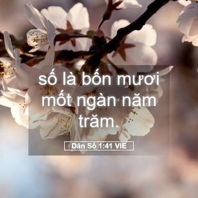 Picture 05 - Dân Số 1:41 VIE - số là bốn mươi mốt ngàn năm - Bible Verse Picture