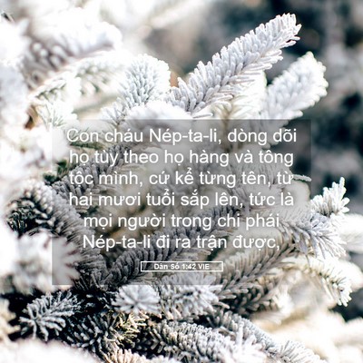 Picture 05 - Dân Số 1:42 VIE - Con cháu Nép-ta-li, dòng dõi họ tùy theo - Bible Verse Picture
