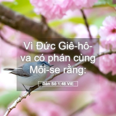 Picture 05 - Dân Số 1:48 VIE - Vì Đức Giê-hô-va có phán cùng Môi-se - Bible Verse Picture