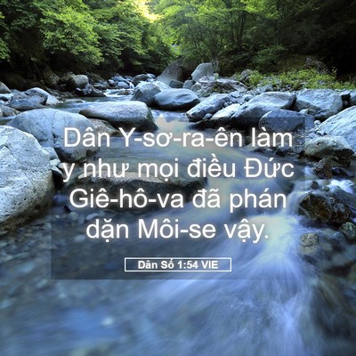 Picture 05 - Dân Số 1:54 VIE - Dân Y-sơ-ra-ên làm y như mọi điều - Bible Verse Picture