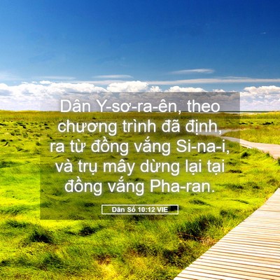 Picture 05 - Dân Số 10:12 VIE - Dân Y-sơ-ra-ên, theo chương trình đã - Bible Verse Picture